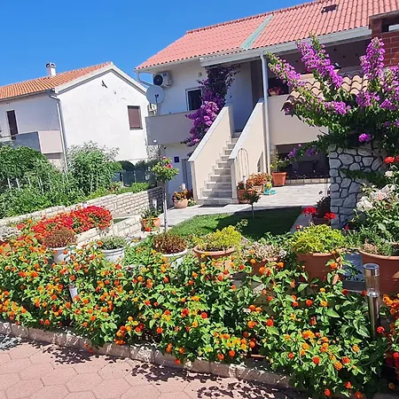 Apartament 
